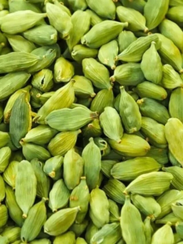 কেনার দরকার নেই, এলাচ হবে বাড়ির বারান্দা বা ছাদেই, রইল টিপস