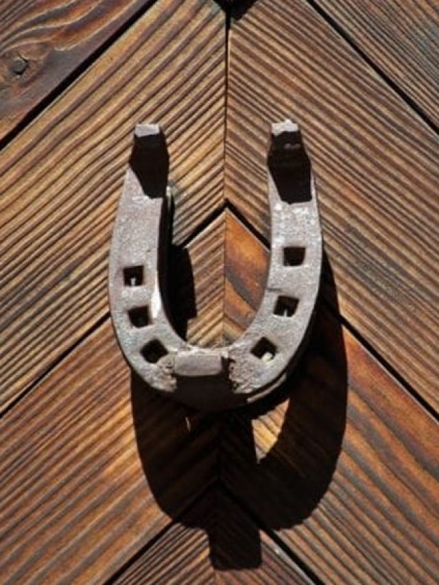 বাড়ির এই দিকে ঝুলিয়ে রাখুন ঘোড়ার নাল, রাতারাতি খেলা জমে যাবে