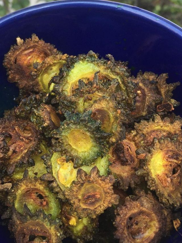 প্রথম পাতেই খেতে হয় তেতো, কিন্তু কেন?