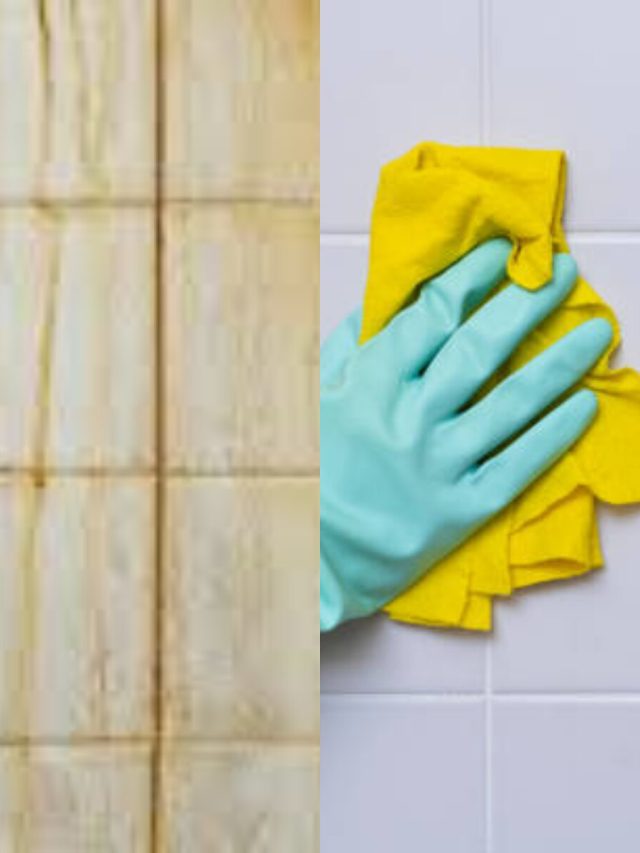 রান্নাঘর-বাথরুমের টাইলসে মুখ দেখা যাবে, নোংরা-ছোপ তুলুন এভাবে