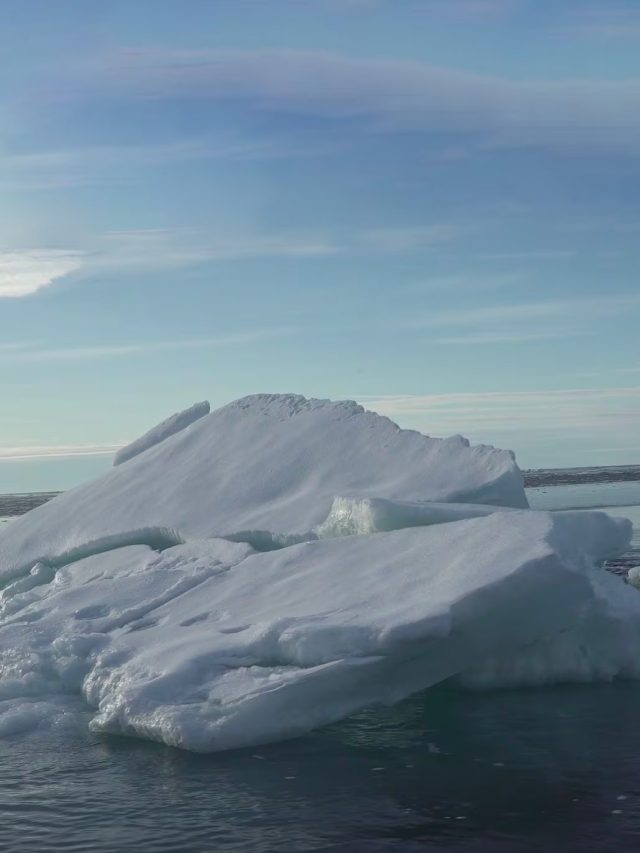 'Ice-free' Arctic in 10 years! Scientists suggest catastrophic consequences of global warming 