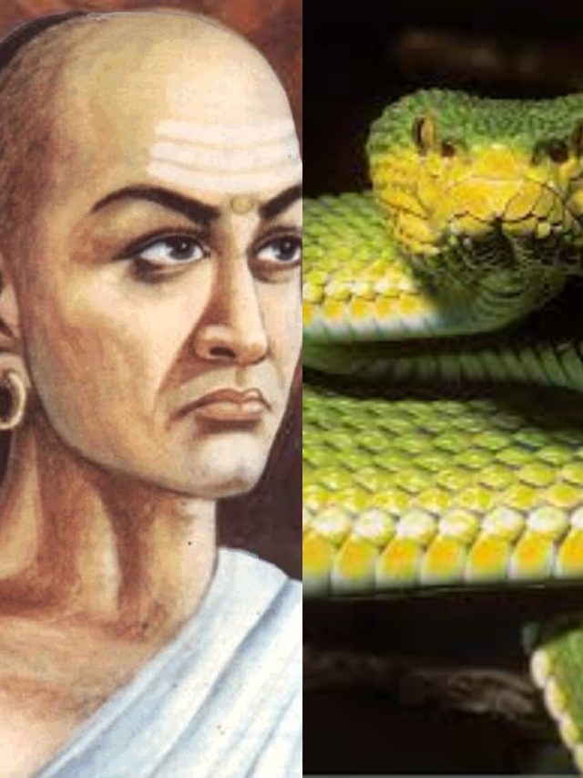 চাণক্য বলছেন- সাপের এই গুণ আনুন আপনার জীবনে, শত্রুরা কাঁপবে