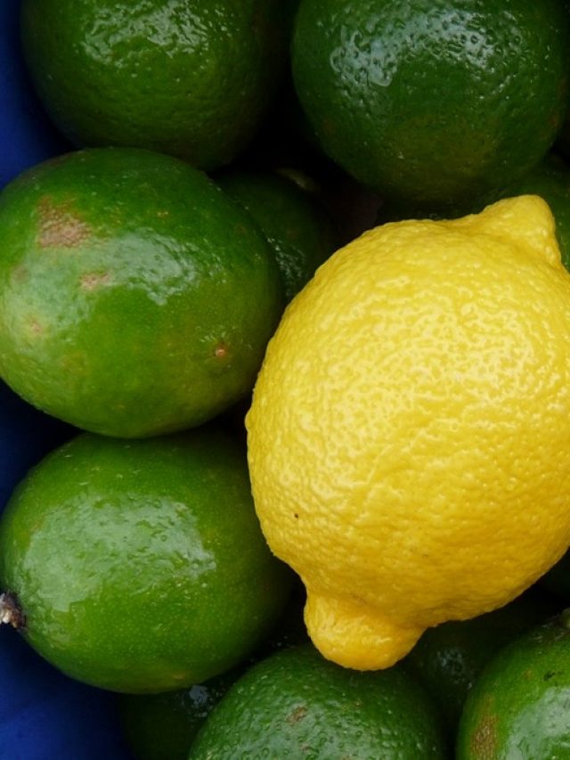 ভাগ্যের চাকা ঘুরবে মাত্র ২ টাকায়! রইল লেবুর স্পেশাল টোটকা