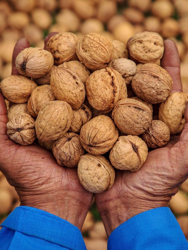 সুগারের টিকিটুকু থাকবে না, এই ফল এভাবে খেলেই 'অ্যারেস্ট' ডায়াবেটিস