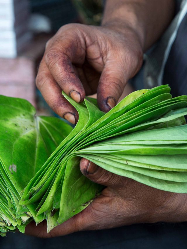 গেঁটে বাত রুখতে 'ব্রহ্মাস্ত্র', এই পাতার রসে মূর্ছা যাবে ইউরিক অ্যাসিড