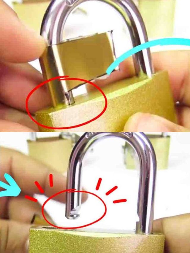 চাবি হারিয়ে ফেলেছেন? না ভেঙে তালা খুলতে করুন এই কাজ