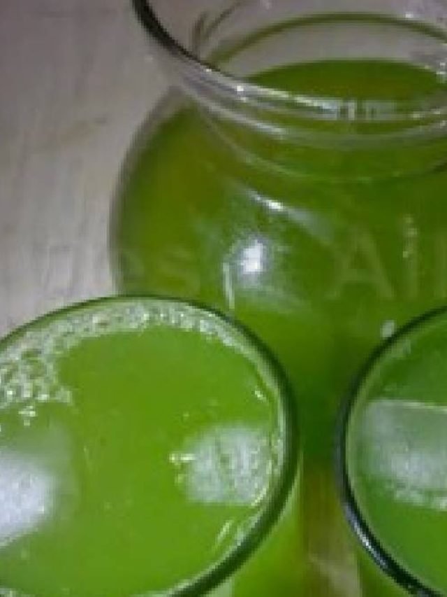 যৌবন থাকবে হট,  গরমে এই পাতার শরবত খেলে আরাম পাবেন, রেসিপি