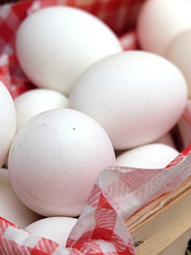 ডিম পচা না কি তাজা? ৫ সেকেন্ডেই বুঝতে পারবেন