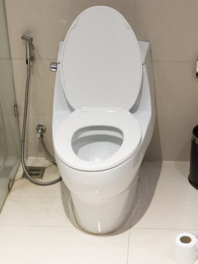 জাস্ট কয়েক টুকরো বরফ, কমোড চমকাবে হিরের মতো