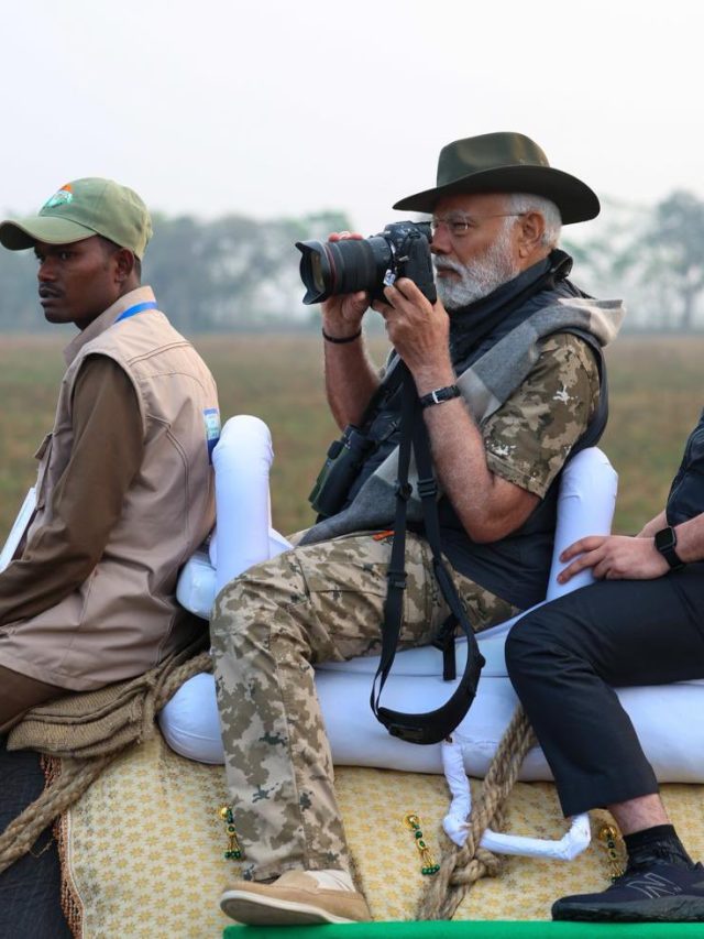 কাজিরাঙায় হাতির পিঠে মোদী, জিপেও জঙ্গল সাফারি