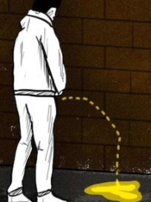 প্রস্রাবে সমুদ্রের ঢেউয়ের মতো ফেনা বেরোয়? হতে পারে মারণরোগ,  জানুন