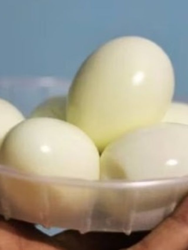 তেল নয়, জল দিয়েই রাঁধুন ডিমের এই  পদ, খেতে দারুণ,  সহজ রেসিপি