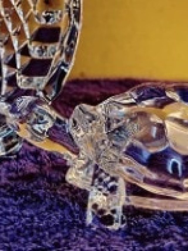 টাকার পাহাড় হবে  ঘরে, ক্রিস্টাল কচ্ছপ রাখুন এভাবে, রাতারাতি  খেল দেখাবে