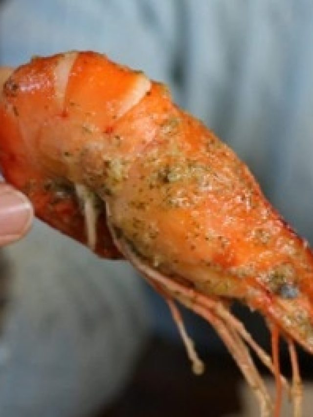 চিংড়ি মাছ খেলে বড় বিপদ এঁদের, হাউ মাউ করে কাঁদবেন, কারা খাবেন না? জানুন