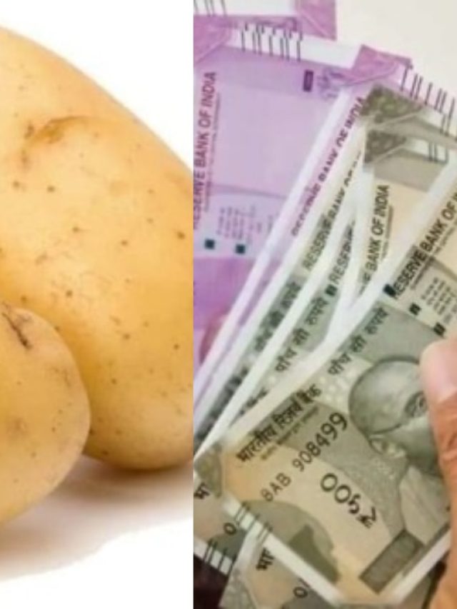 আলু দিয়ে এই কাজ করলেই টাকা আসবে,  কোটিপতি হওয়া জাস্ট বাঁ হাতের খেল, জানুন