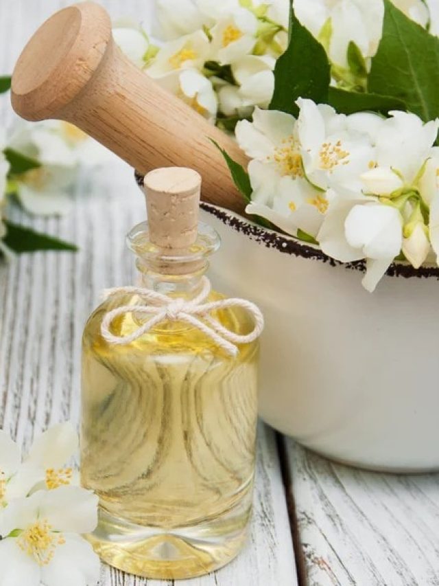 পারফিউম কিনবেন কেন? জুঁই ফুল দিয়ে  বানিয়ে নিন নিখরচায়