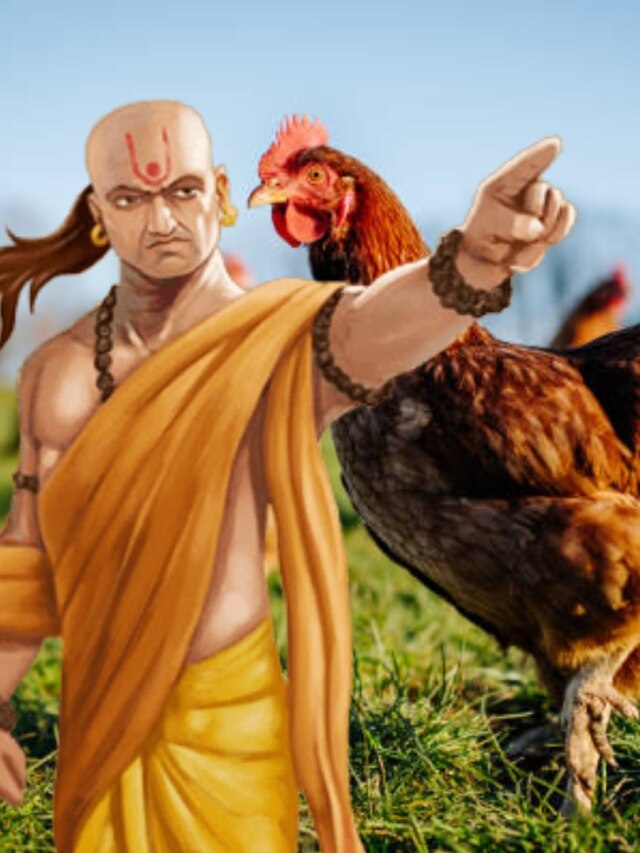 মোরগের ৪ গুণই আনবে সাফল্য, মানুন চাণক্যের টিপস