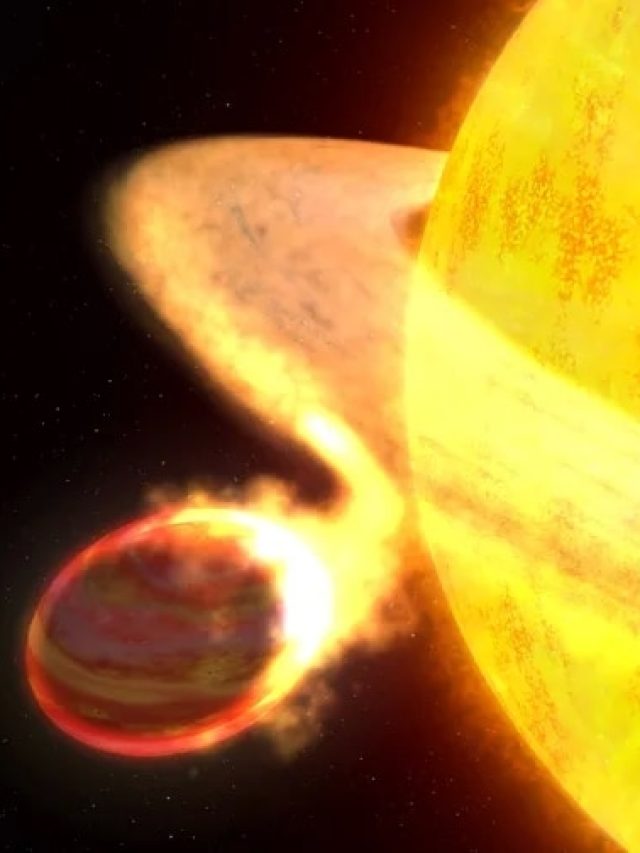1 out of every 12 stars have eaten a planet: Report