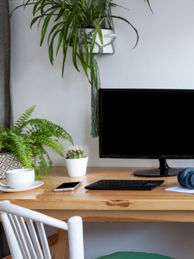 অফিস ডেস্কে এই ৫ গাছ রাখবেন না, কাজে বাধা, জড়াবেন তর্কে