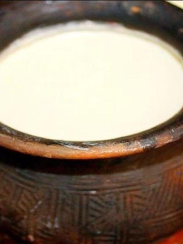 স্টিল বা কাঁচ নয়, বাড়িতে দই পাতুন এইভাবে, ভুলবেন দোকানের স্বাদ