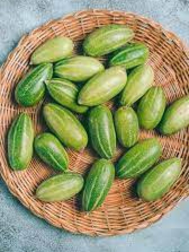 পটলকে ইংরেজিতে কী বলে জানেন?