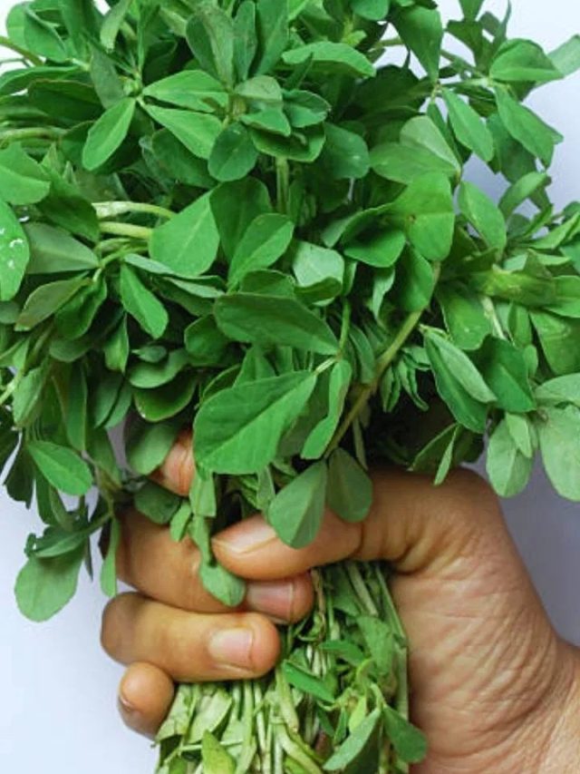 ঝট করে গায়েব হবে ৫ ভয়ঙ্কর রোগ, রোজ খেতে হবে এই  শাক