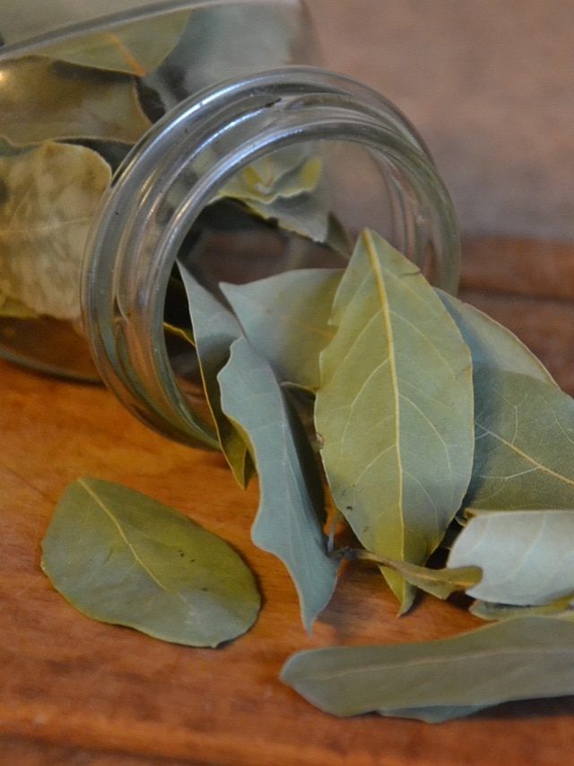 তেজপাতাই ফেরাবে হারান প্রেম-কাটবে অভাব, শুধু রাতে শোওয়ার আগে...