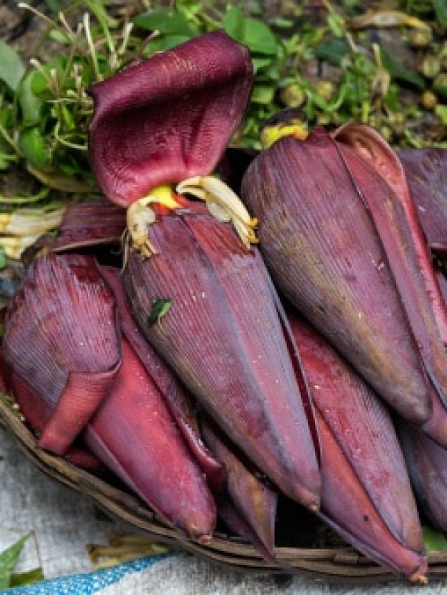 মোচা ধরবেন আর কাটবেন, ৫ মিনিটে কাটার সহজ ট্রিক শিখে রাখুন