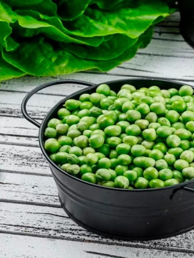 বছরভর কড়াইশুঁটি খেতে চান? এভাবে সংরক্ষণ করুন