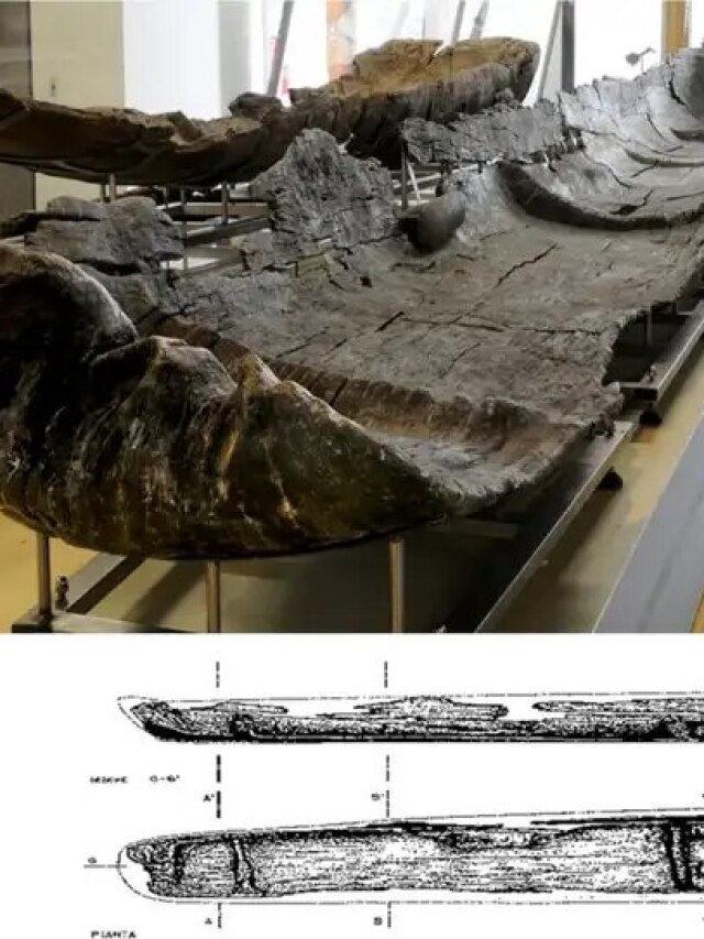 Mediterranean was bustling with trade even 7000 years ago and these boats made it possible