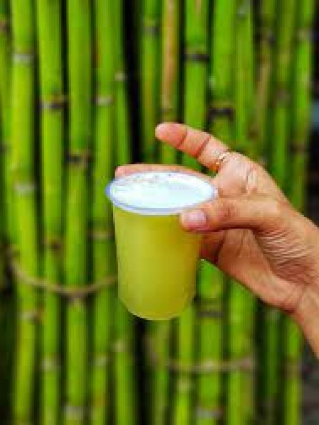 এসব মানুষ ভুলেও ছোঁবেন না আখের রস, খেলে গুরুতর অসুস্থ হতে পারেন