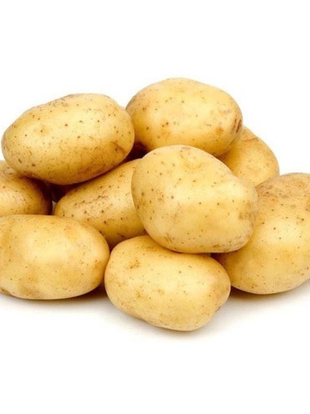 কোনটা জ্যোতি, কোনটা চন্দ্রমুখী? দেখলেই বলে দিতে পারবেন