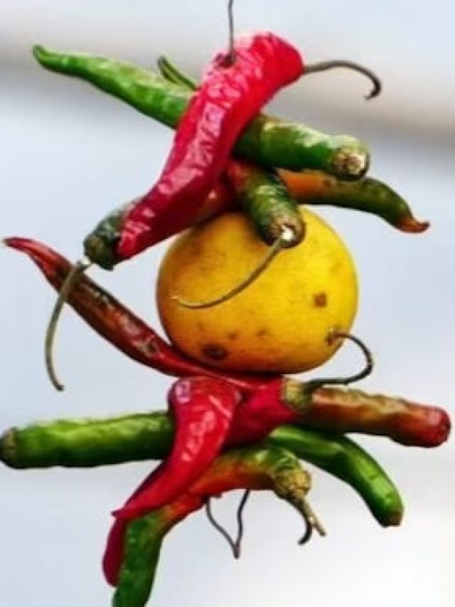 দোকান-বাড়ির দরজায় লেবু-লঙ্কা ঝোলানোর আগে করুন এই কাজ, শত্রু জব্দ হবেই