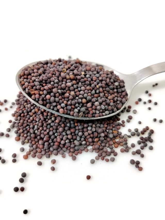 এই কায়দায় বাটুন সর্ষে, পেট ফোলা-ব্যথা হবে না; শিখুন