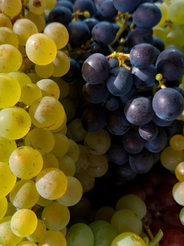 স্ট্যামিনা বুস্ট করে, উদ্দীপনা বানাতে পুরুষরা সঙ্গী করুন এই ফলের রসকে