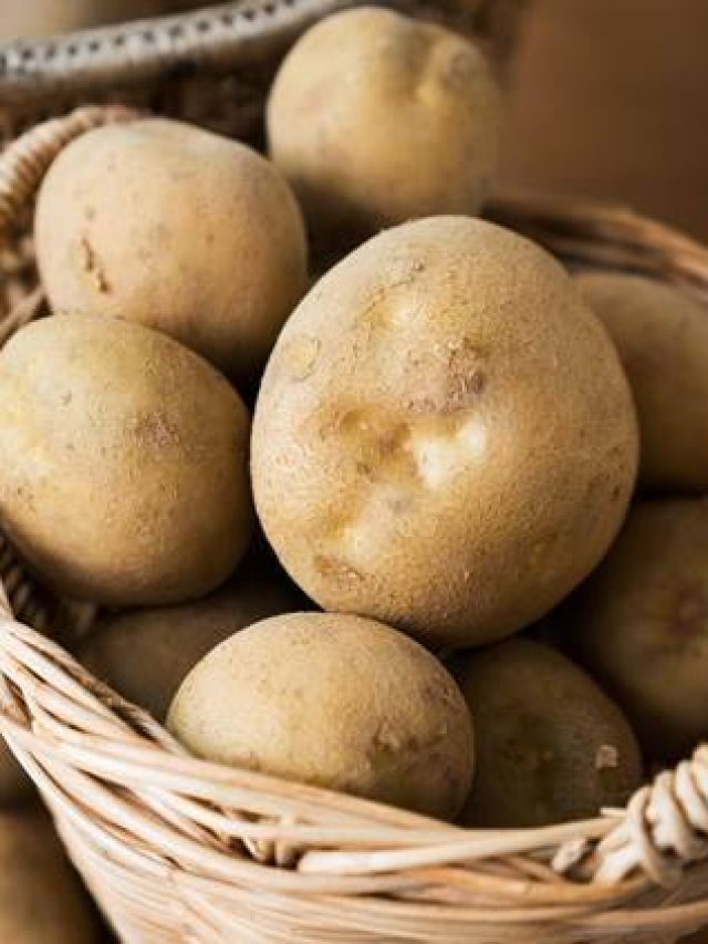 সুগার হবে একেবারে জব্দ, থাকবে আপনার বশে, রোজ পাতে রাখুন আলু