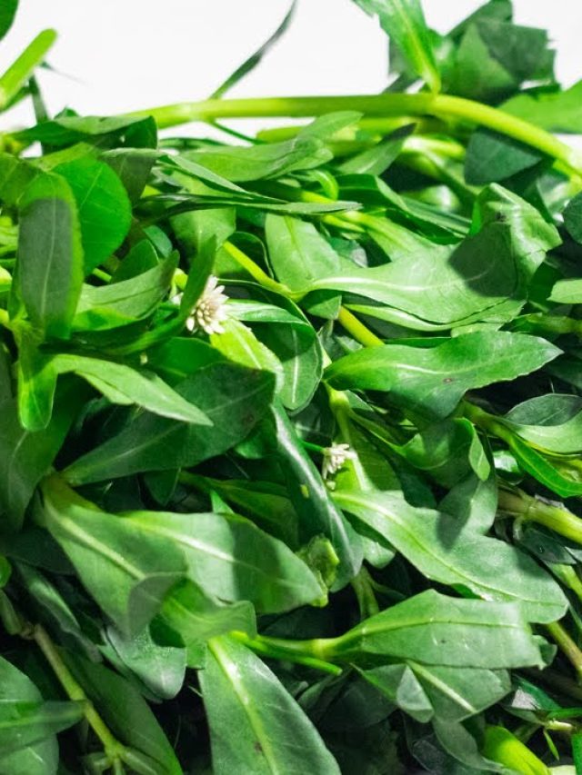 বাপ বাপ বলে পালাবে কোলেস্টেরল, নিয়মিত পাতে থাক বাংলার এই শাক