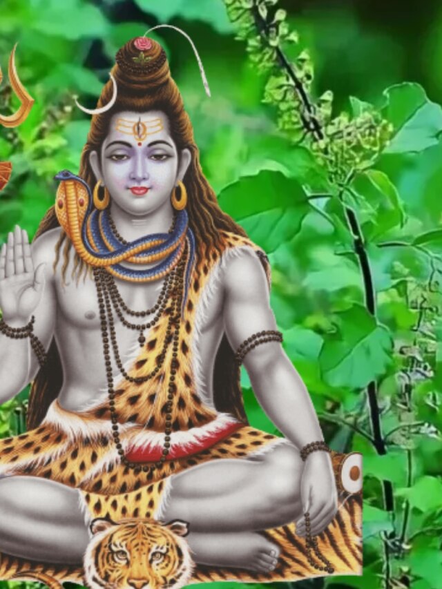 অর্থ আর সুখ চান? তুলসী গাছে দিন মহাদেবের প্রিয় এই জিনিস