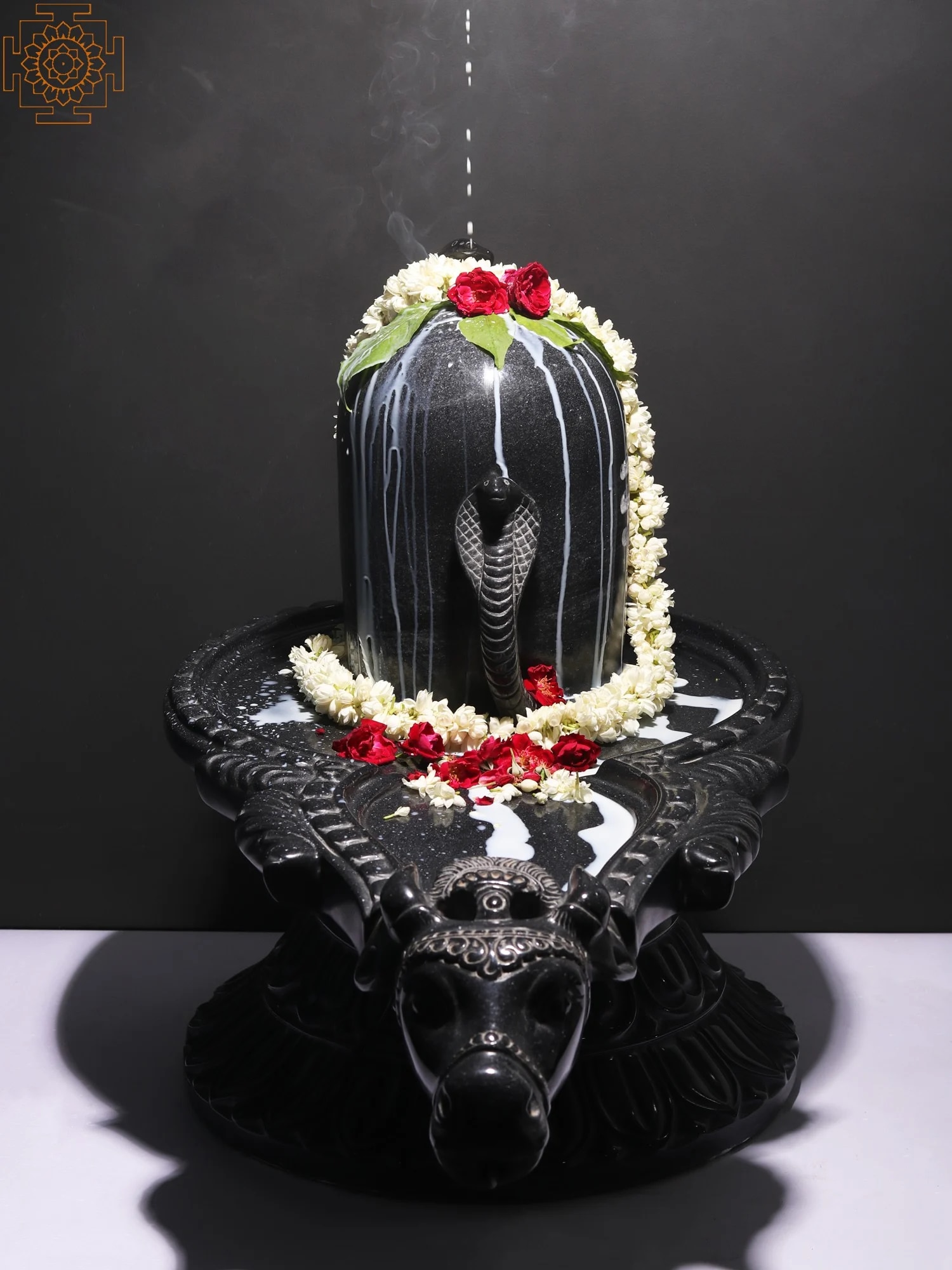 Mahashivratri राशिनुसार शिवजी को चढ़ाएं ये चीजें, पूरी होगी मनोकामना