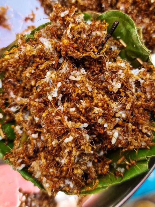 বিখ্যাত পিঁপড়ের টক-ঝাল চাটনি, কোন জেলার খাবার জানেন?