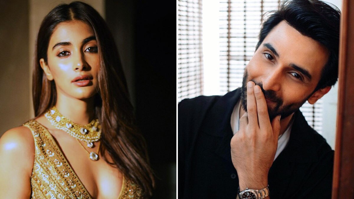 कभी सलमान संग जुड़ा नाम, अब लेजेंडरी एक्टर के बेटे से हुआ पूजा को प्यार? डेटिंग की चर्चा