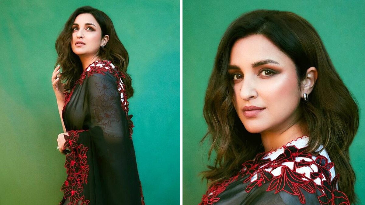 परिणीति चोपड़ा ने मांगा काम, बोलीं- माना पार्टी में नहीं जाती, PR करना नहीं  आता मगर... - 35 years parineeti chopra ask directers for work after  chamkila success said my pr bad
