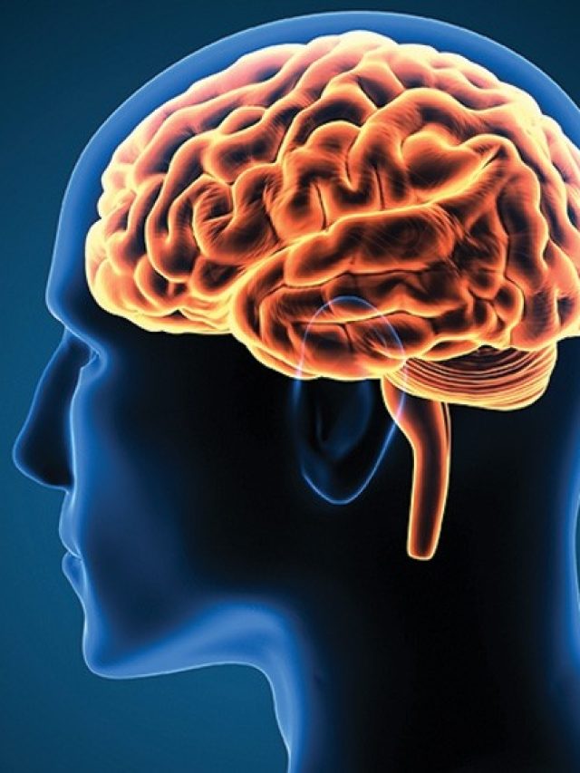 এটাই 'মাথার খাবার',  বাংলার এই শাক খেলে বুদ্ধির গোড়ায় শান পড়বে