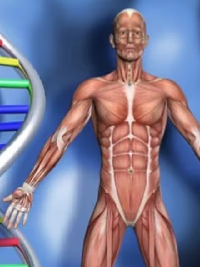 ইমিউনিটি বাড়ান দিনের শুরু থেকেই, রইল সেরা ব্রেকফাস্ট মেনু