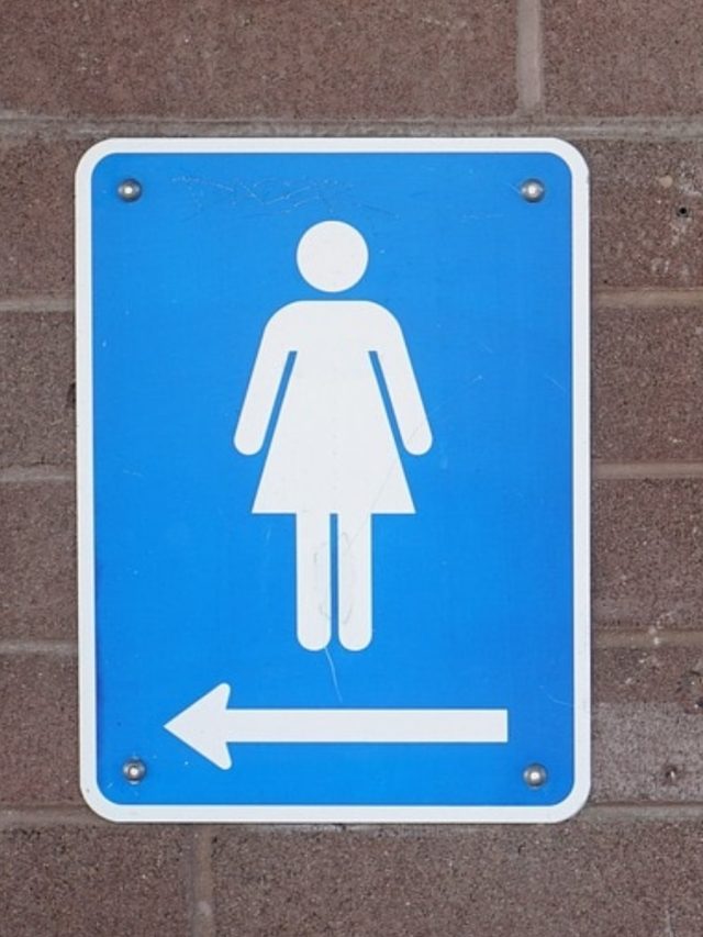 সাবধান!পাবলিক টয়লেট ব্যবহারের সময় মেয়েরা এই ৭ ভুল করবেন না