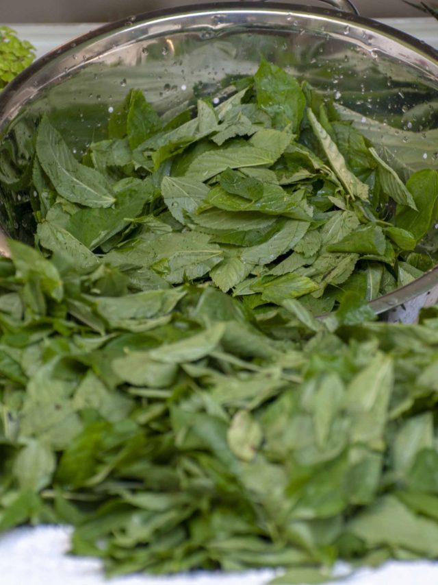 সস্তার এই শাকেই ফুলে ফেঁপে উঠবে পুরুষত্ব, বুড়ো বয়সেও খেলা দেখাবে যৌবন