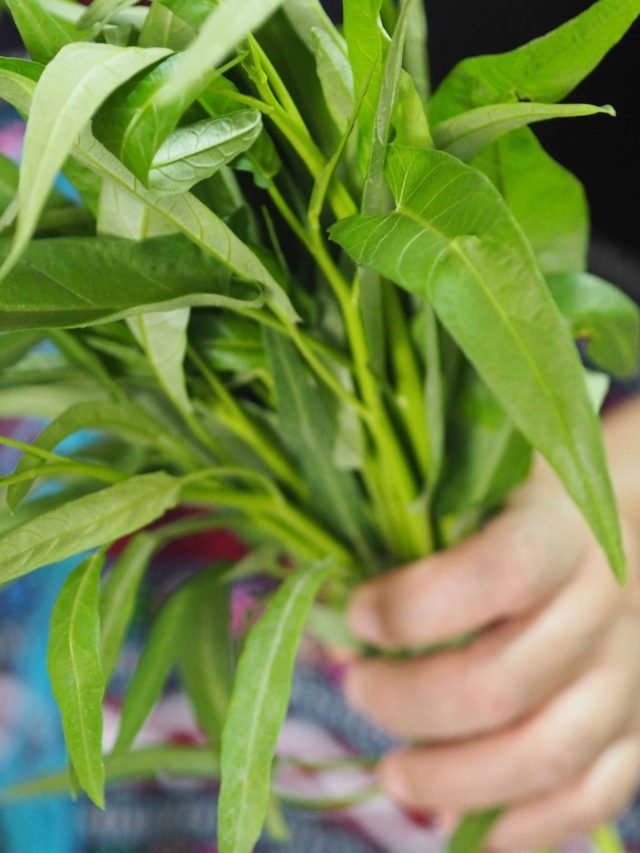 পুরুষত্বের স্রোতে ভাসবেন, স্বাদে একঘর এই সুস্বাদু শাকের ডাল ট্রাই করুন, রেসিপি