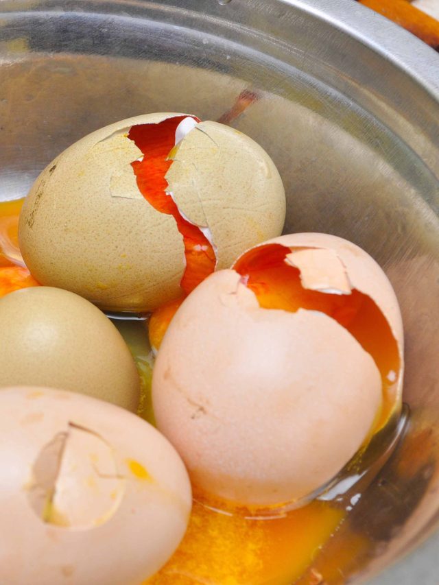 গরমে ফ্রিজে ডিম রেখেও পচে যাচ্ছে? এই ১ টিপসে যতদিন ইচ্ছে তাজা রাখুন