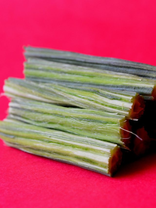 সুগার কমাবে ডাঁটা, আর কী কী লাভ পাবেন?