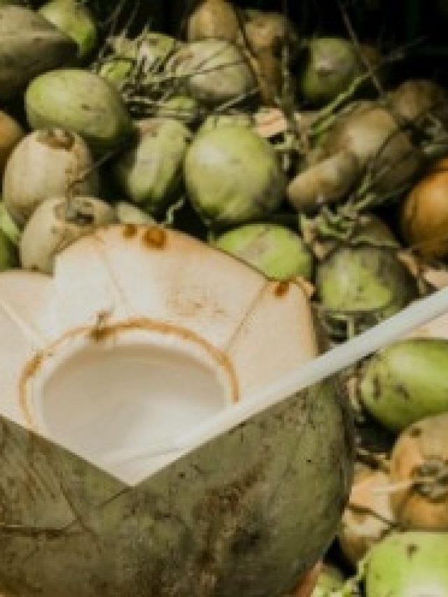 কোন ডাবের জল ভাল? কেনার সময় এই ক'টা  জিনিস মাথায় রাখলে ঠকবেন না